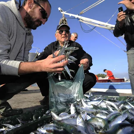 Iskra 2 斯普利特