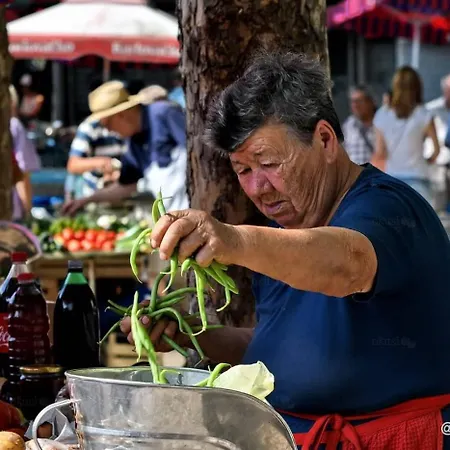 公寓 Iskra 2 斯普利特