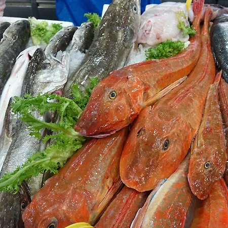 Iskra 2 公寓 斯普利特